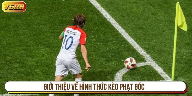 Kèo phạt góc là lựa chọn khi cá cược bóng đá trực tuyến