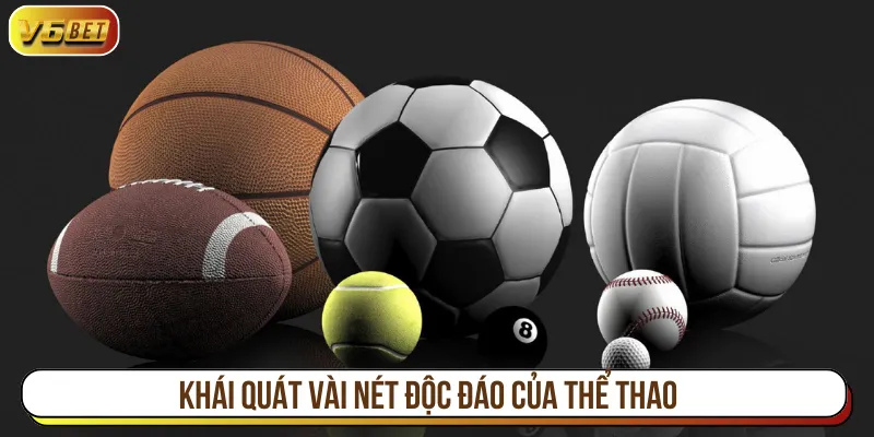 Thể thao khẳng định vị thế nhờ sân chơi toàn diện